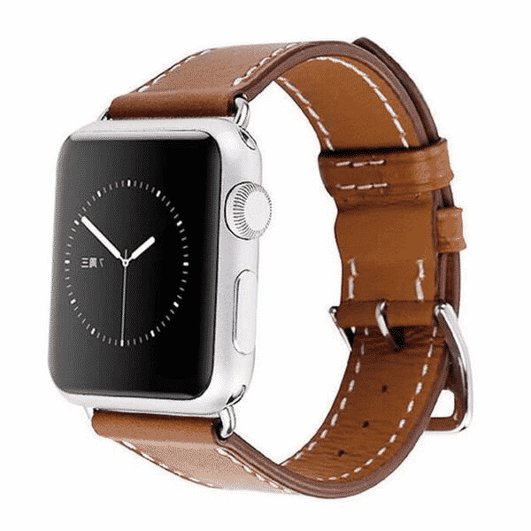 apple-hermes-band