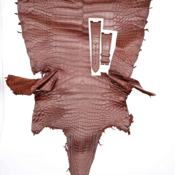 Patek Philippe strap replacement