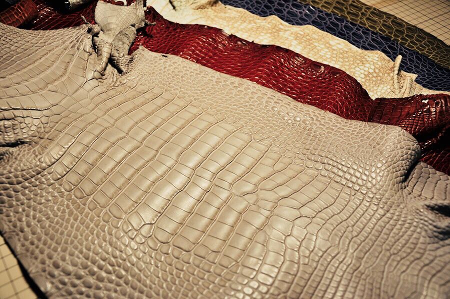 High-End Luxury American Alligator leather