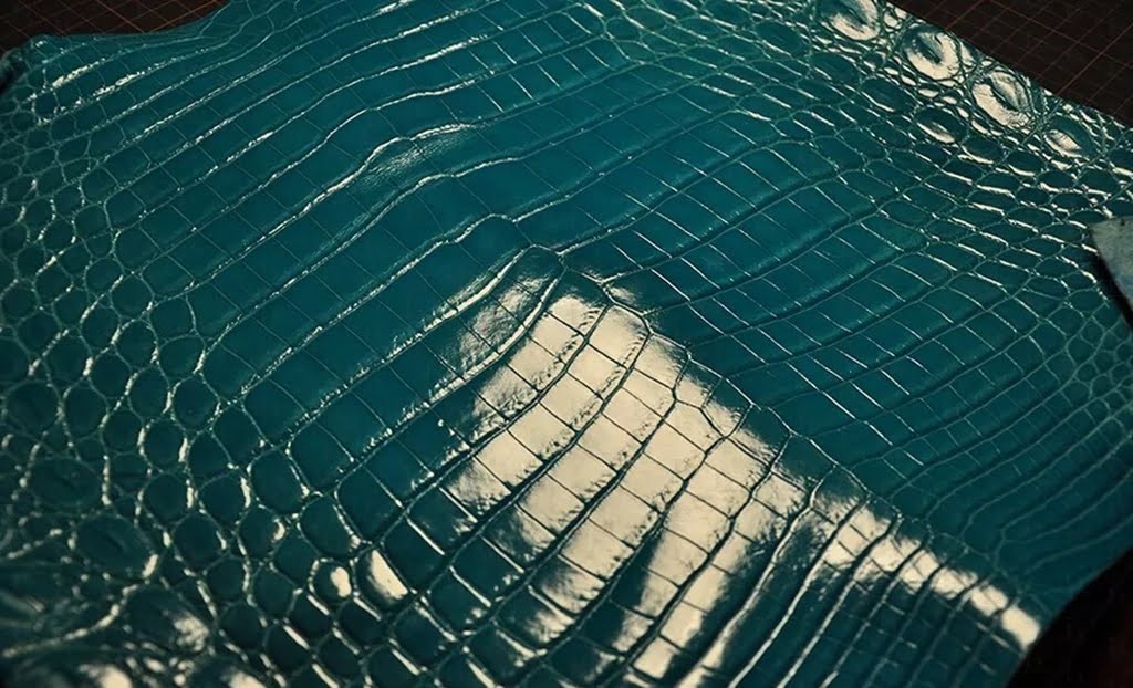 Alligator-leather-vs-crocodile-difference shiny alligator