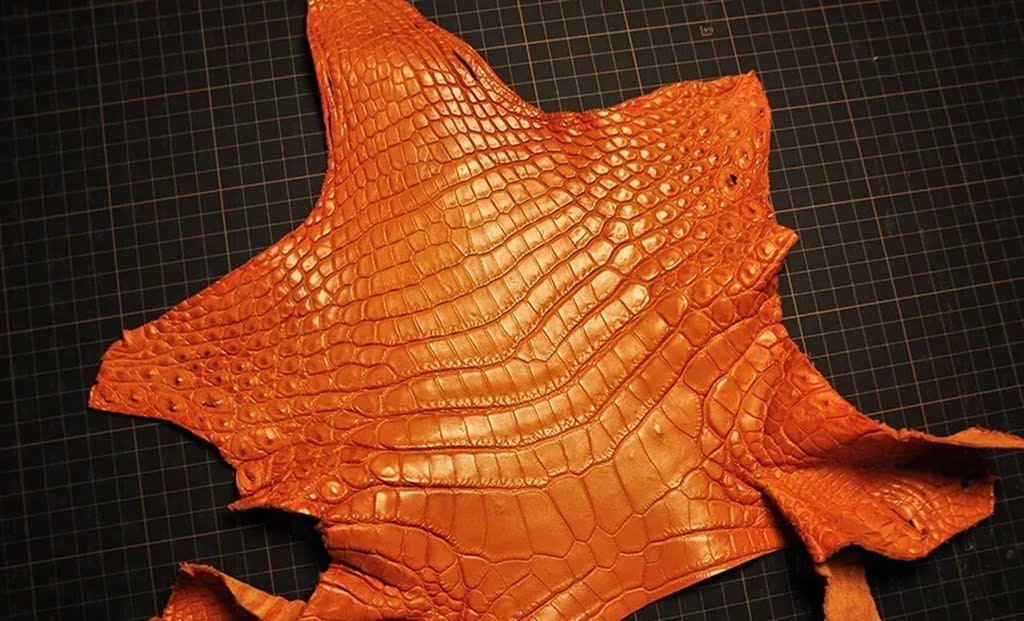 Chin Alligator-leather-vs-crocodile-difference