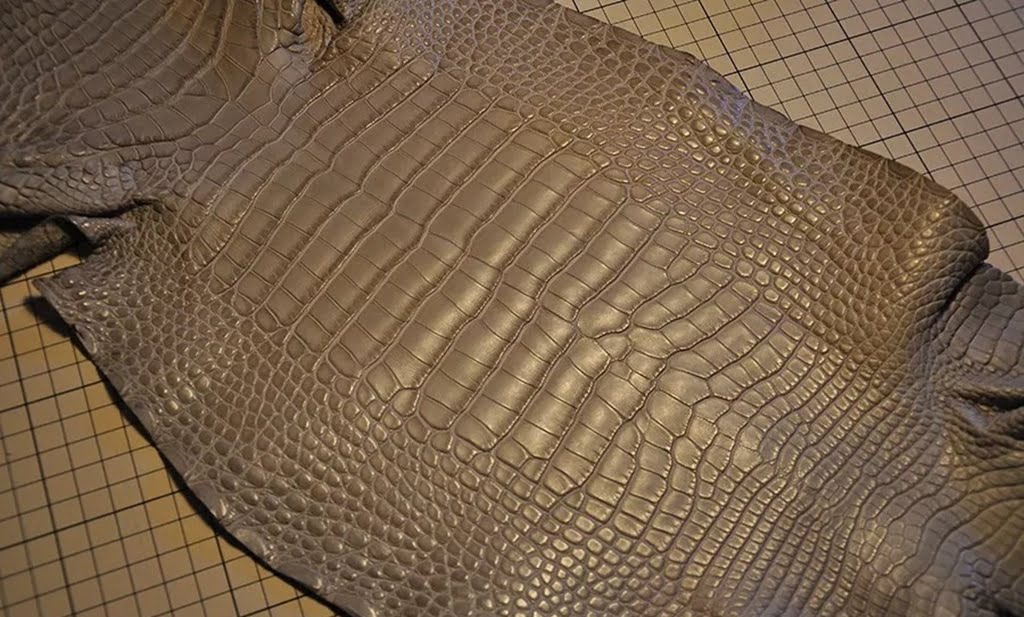 Alligator-leather-vs-crocodile-difference